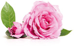 Body & Face moisturizing blend of precious oils with vitamin E & Rose